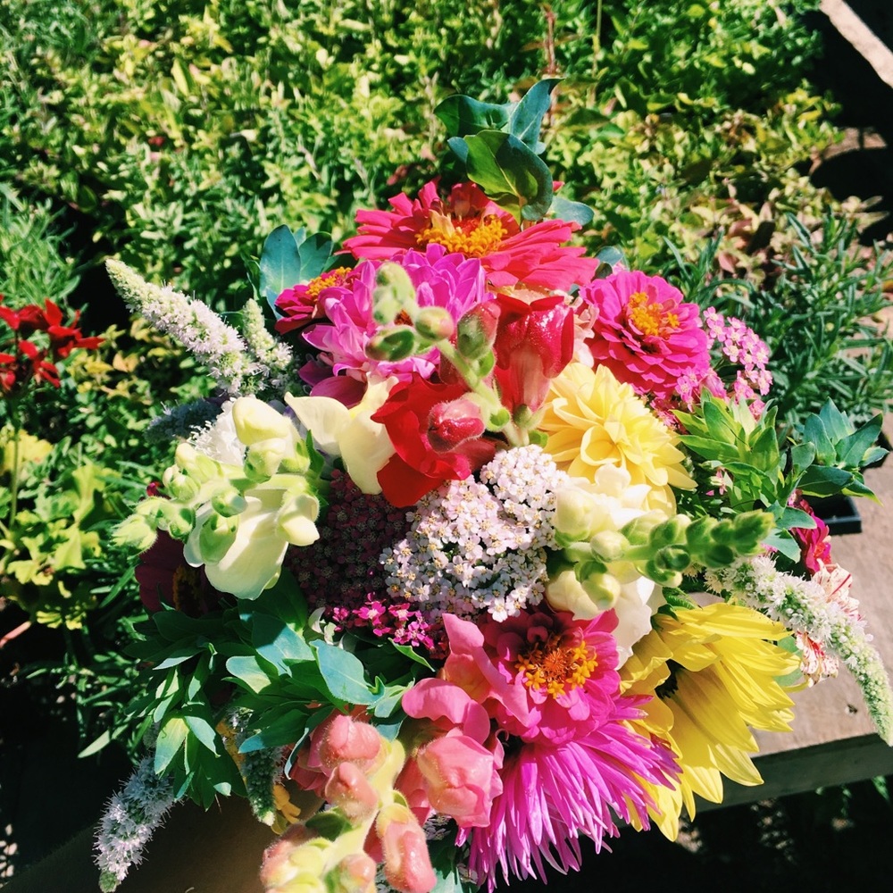 Meet your Posher, Mikaela